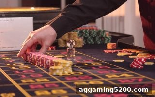 波胆实战指南：DG真人战术体系从入门到精通