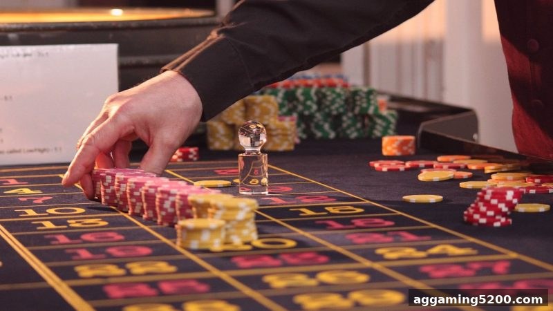 波胆实战指南：DG真人战术体系从入门到精通