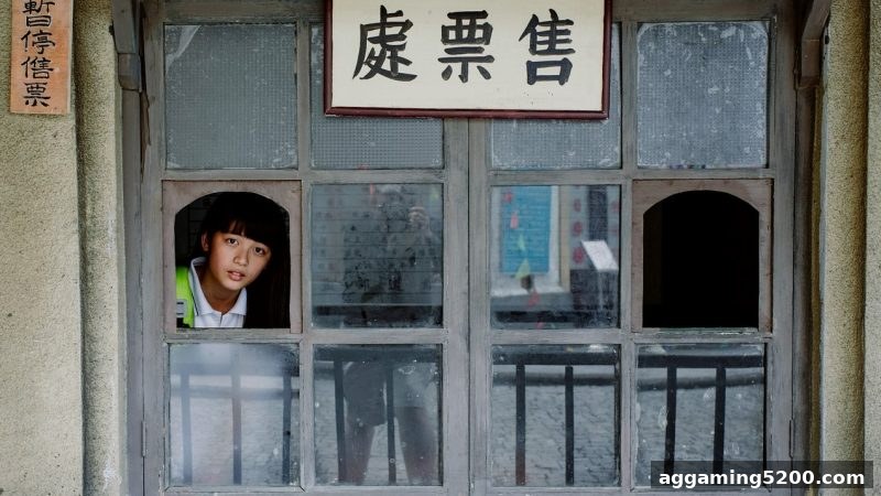 从波胆看概率思维：游戏与投资背后的共同逻辑
