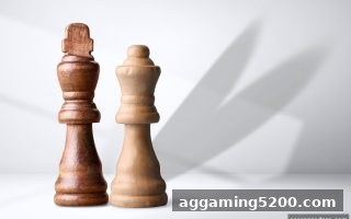波胆探秘：澳门棋牌围棋比赛规则、制度与注册全流程指引