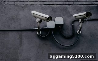波胆深度解析：红中麻将与捕鱼游戏的合规玩法及权益保障指南