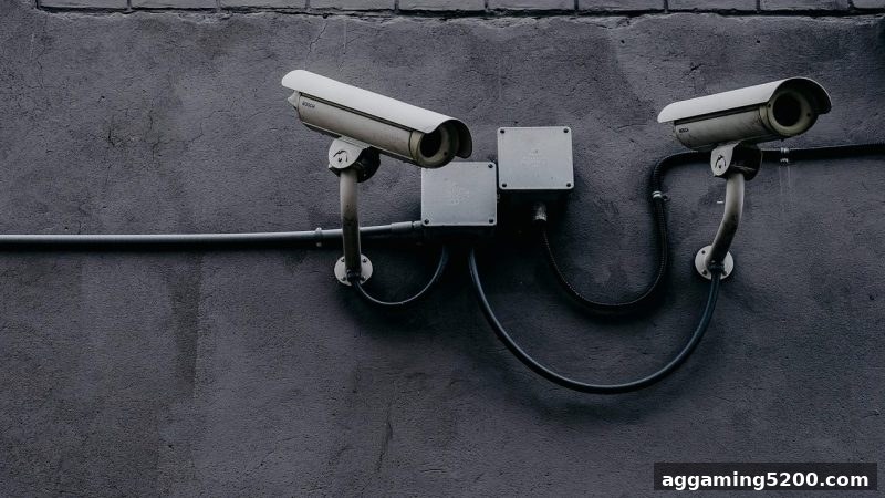 波胆深度解析：红中麻将与捕鱼游戏的合规玩法及权益保障指南