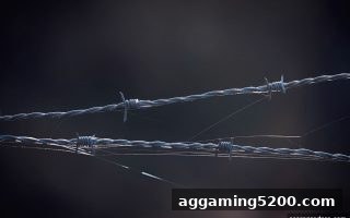 波胆视角：安全提款——平台运营的生命线与用户信任基石